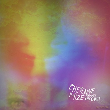Cheyenne Mize: Among The Grey [2xWinyl]