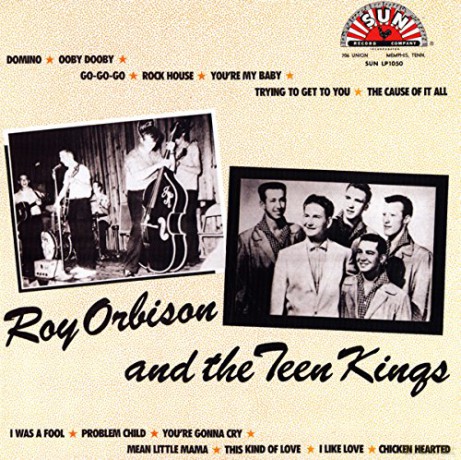 Roy: and The Teen Kings [Winyl]