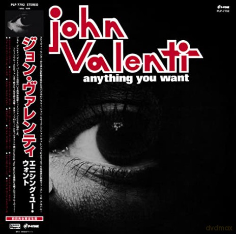 John Valenti: Anything You Want [Winyl]