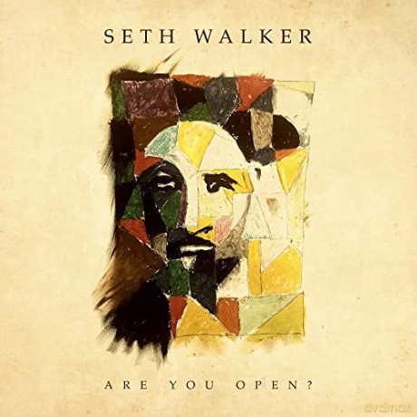 Seth Walker: are You Open [Winyl]