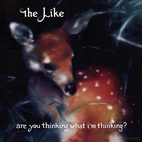 Like: are You What I M Thinking/Vinyle Noir Audiophile [Winyl]