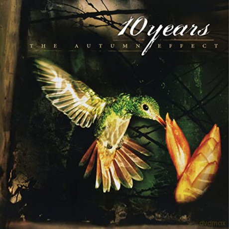 10 Years: Autumn Effect/Vinyle Noir Audiophile [Winyl]