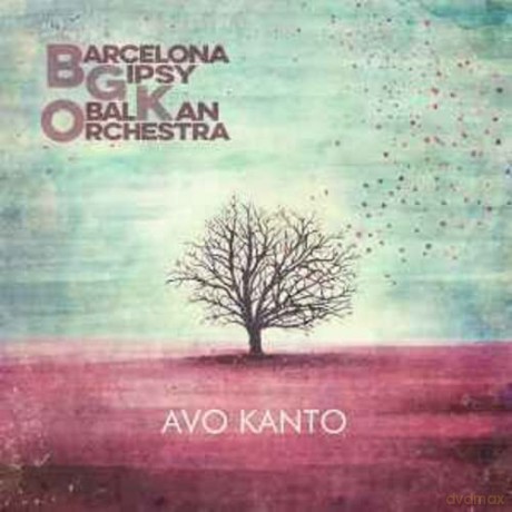 Bgko: AVO Kanto [Winyl]