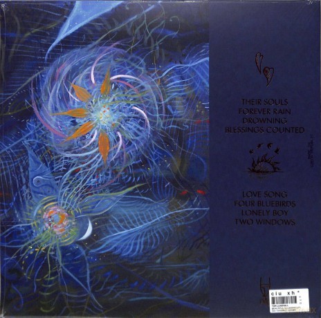 Tor Lundvall: Beautiful Illusions [Winyl]