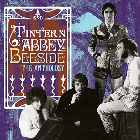 Tintern Abbey: Beeside The Anthology/Vinyle Violet avec Insert 4 Pages [2xWinyl]