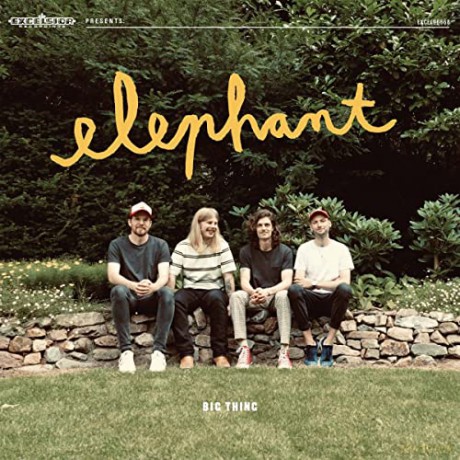 Elephant: Big Thing [Winyl]