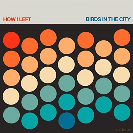 How I Left: Birds in The City [Winyl]