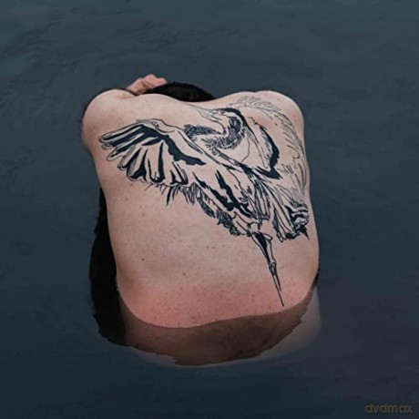 Jodi: Blue Heron-Vinyle Argent [Winyl]