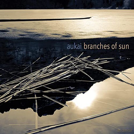 Aukai: Branches of Sun [Winyl]