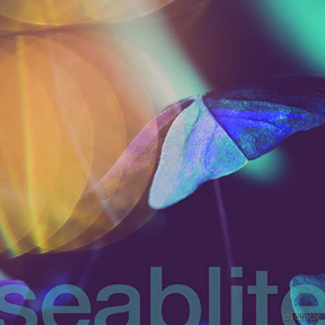 Seablite: Breadcrumbs [Winyl]