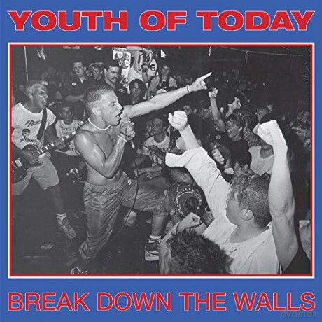 Youth of Today: Break Down The Walls [Winyl]