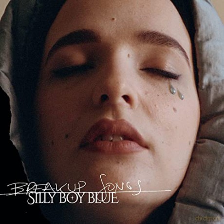 Silly Boy Blue: Breakup Songs [Winyl]