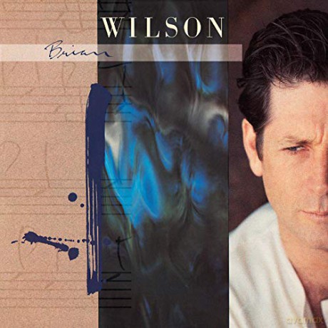 Brian Wilson: Brian Wilson [Winyl]
