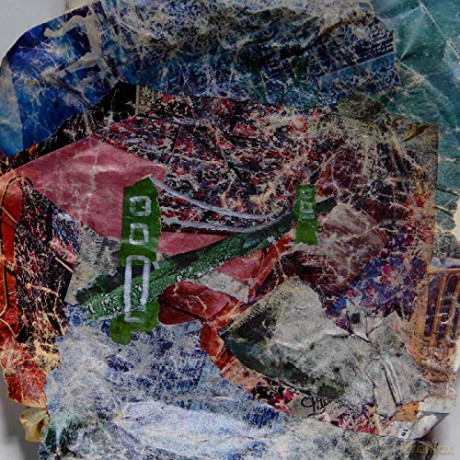 Animal Collective: Bridge to Quiet [Winyl]