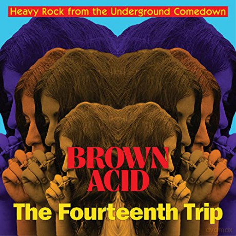 Brown Acid-Fourteenth Trip [Winyl]