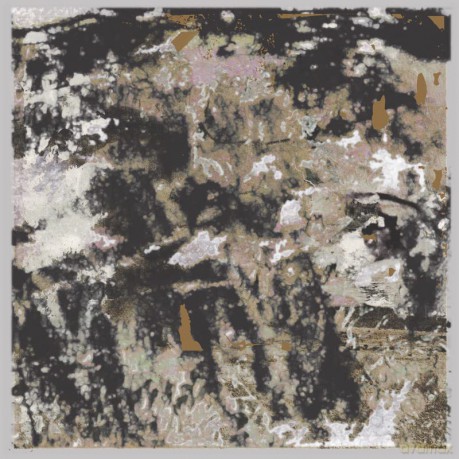 Loraine James: Building Something Beautiful for Me/Clear [Winyl]