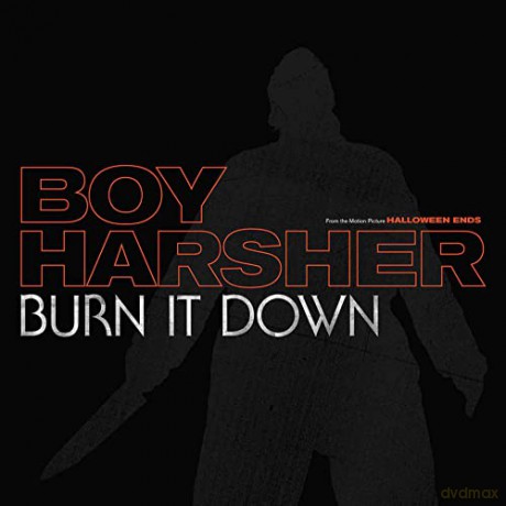 Boy Harsher: Burnt It Down [Winyl]