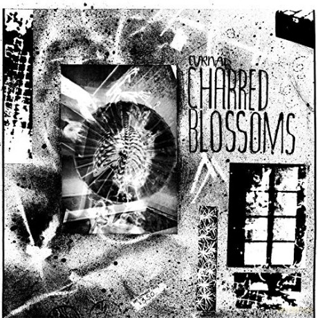 Cyrnai: Charred Blossoms [Winyl]