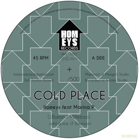 Homeys: Cold Place [Winyl]