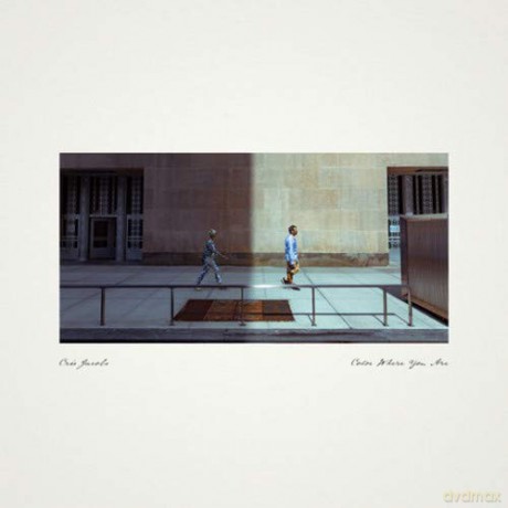 Cris Jacobs: Color Where You are [Winyl]