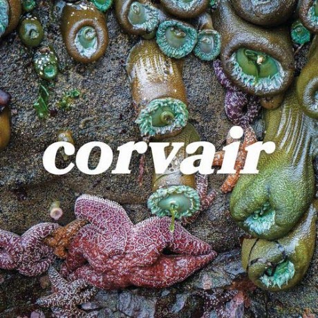 Corvair: Corvair [Winyl]