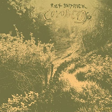 Rick Deitrick: Coyote Canyon [Winyl]