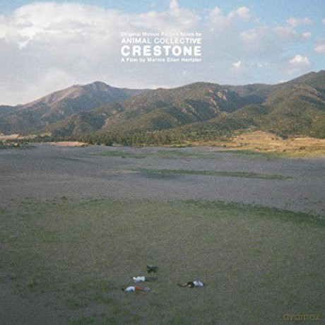Animal Collective: Crestone [Winyl]