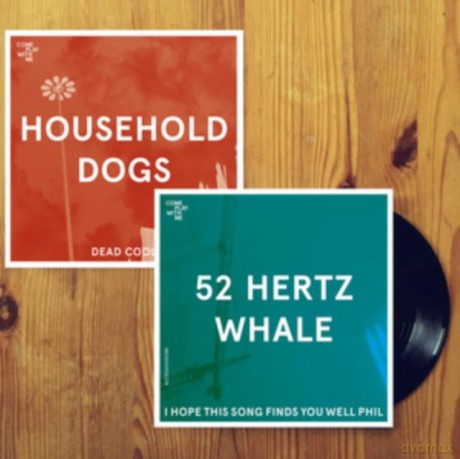 Household Dogs: Dead Cool/I Hope This Song Finds You Well Phil [Winyl]