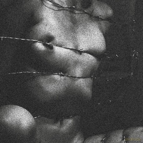 Clavicvla: Degeneracy of The 5th Density [Winyl]