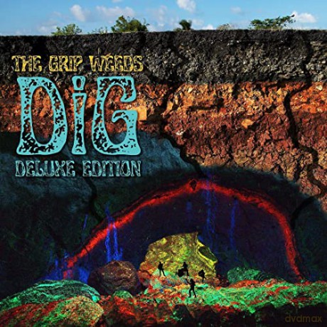 The Grip Weeds: Dig [Winyl]