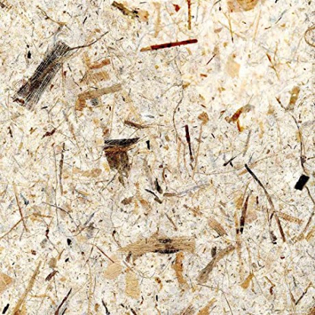 Zoviet*France: Digilogue [Winyl]