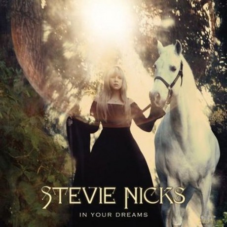Stevie Nicks: In Your Dreams special edition [CD]