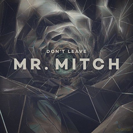 Mr. Mitch: Don't Leave [Winyl]