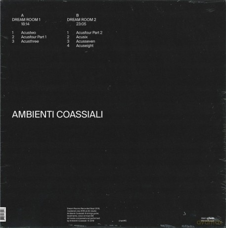 Ambienti Coassiali: Dream Rooms [Winyl]