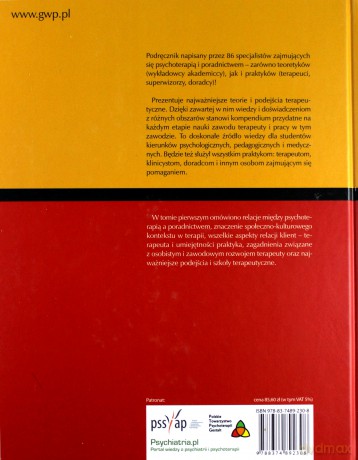 Psychoterapia i poradnictwo. Tom 1  - Feltham Colin, Horton Ian [KSIĄŻKA]