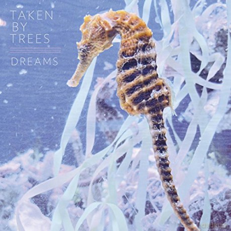 Taken By Trees: Dreams [Winyl]