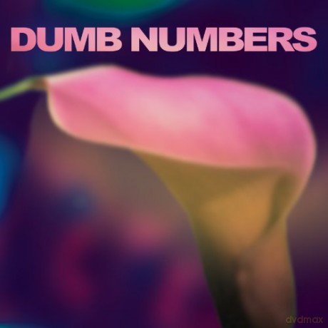 Dumb Numbers: Dumb Numbers [Winyl]
