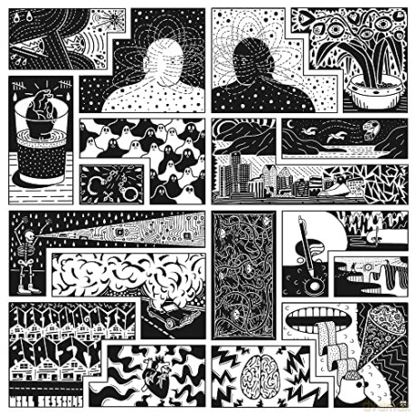 Will Sessions: Electromagnetic Reality [Winyl]