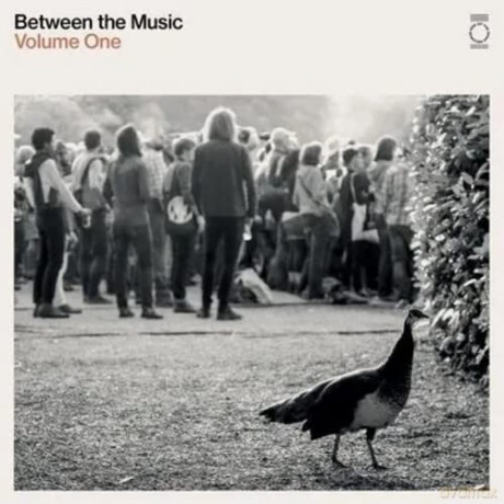 End of Road Presents: Between The Music-White Colored [2xWinyl]