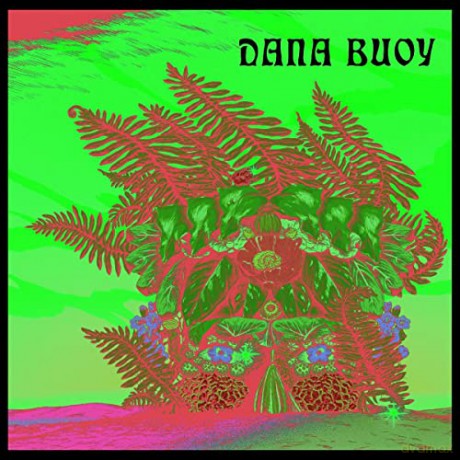 Dana Buoy: Experiments in Plant Based Music Vol 1 [Winyl]