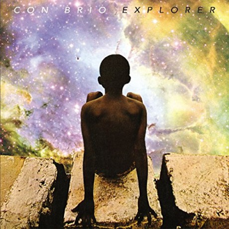Con Brio: Explorer [Winyl]