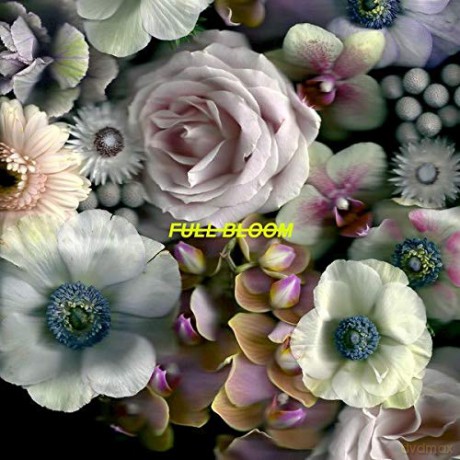 Alpines: Full Bloom [Winyl]