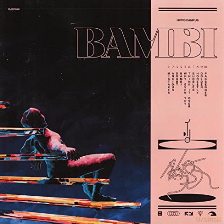 Hippo Campus: Hippo Campus - Bambi [Winyl]