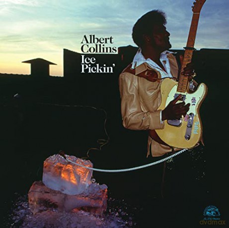 Albert Collins: Ice Pickin' [Winyl]
