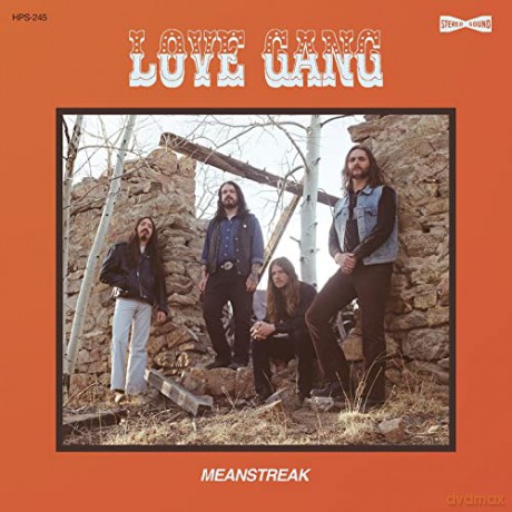 Love Gang: Meanstreak [Winyl]