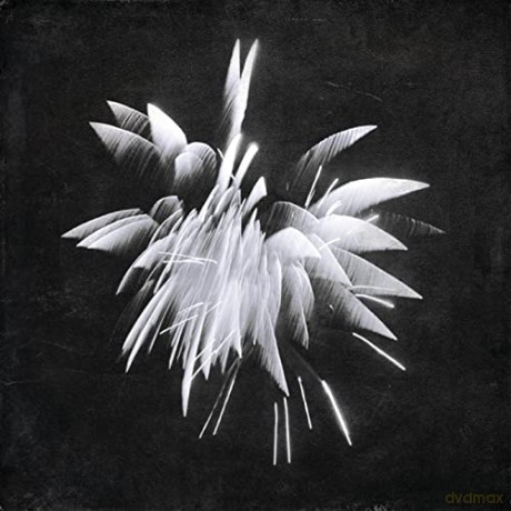 Brent Windler: New Morning Howl [Winyl]
