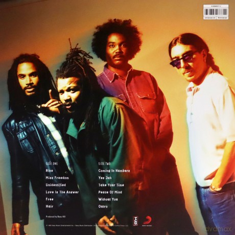 Bad Brains: Rise [Winyl]