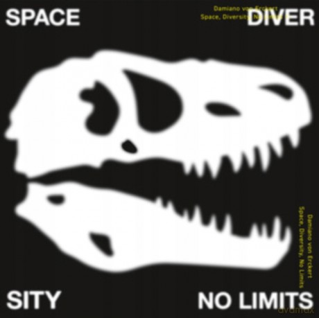 Damiano Von Erckert: Space, Diversity, No Limits [Winyl]