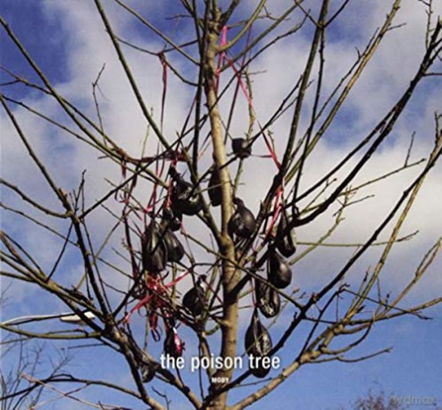 Moby: The Poison Trees [Winyl]