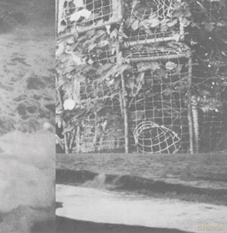 Cremation Lily: The Processes and Instruments of Normal People/Clear [Winyl]